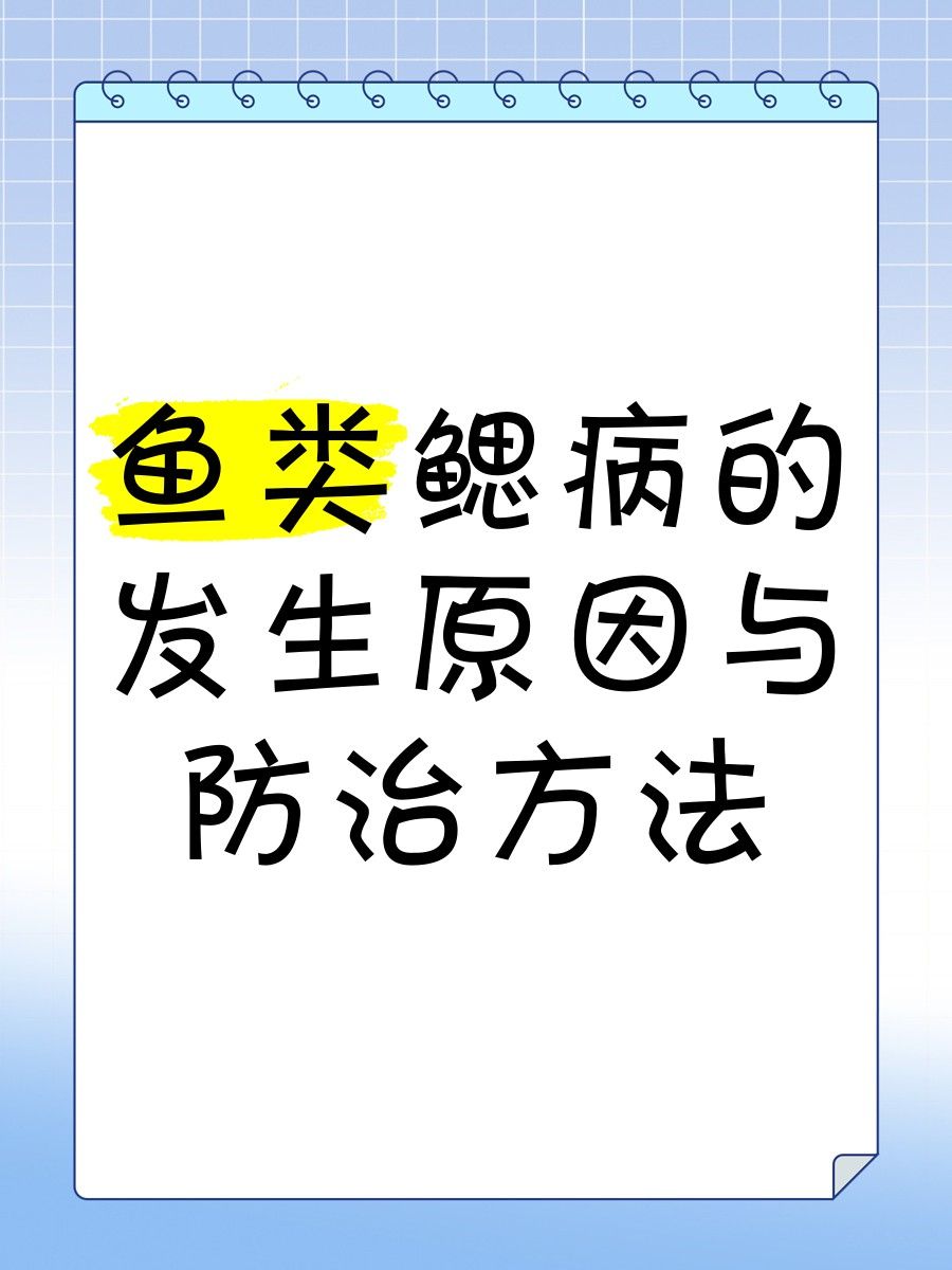 如何預(yù)防龍魚(yú)細(xì)菌性爛鰓病？