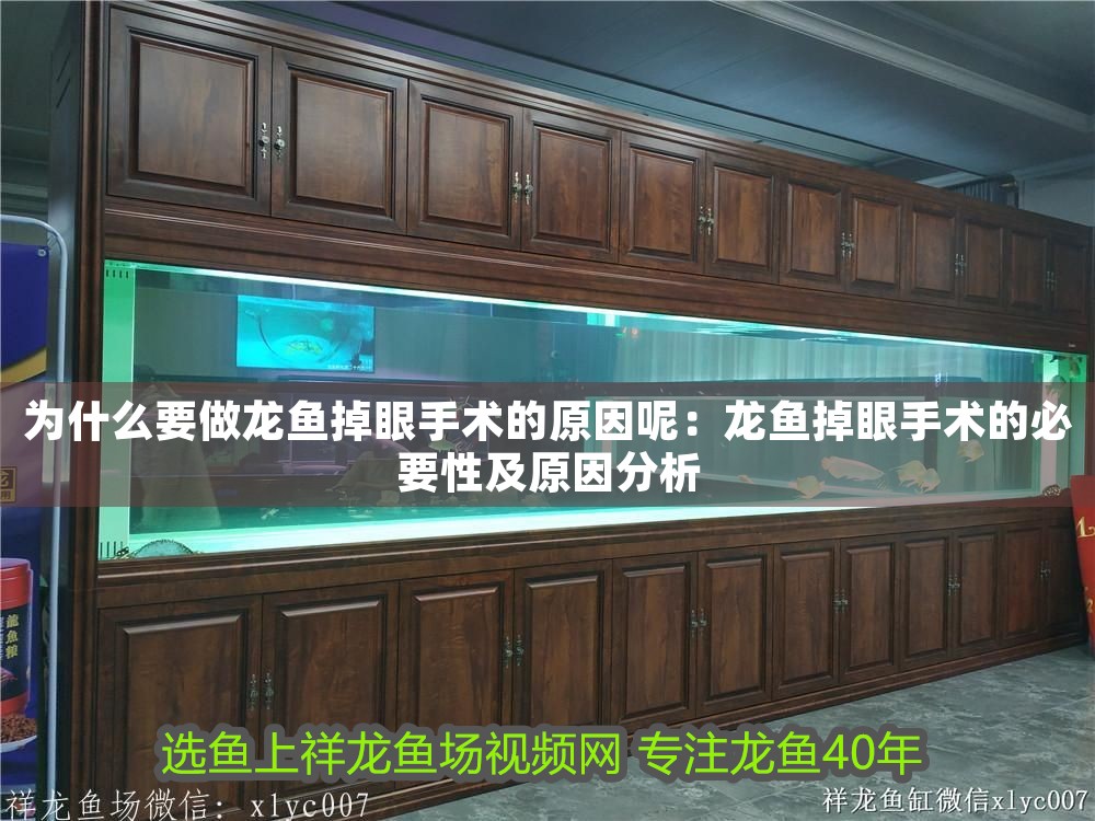 為什么要做龍魚掉眼手術的原因呢：龍魚掉眼手術的必要性及原因分析