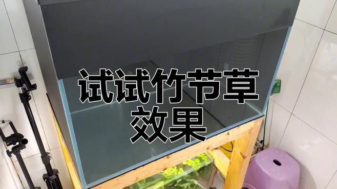 如何減少中草藥治療龍魚蒙眼的副作用？
