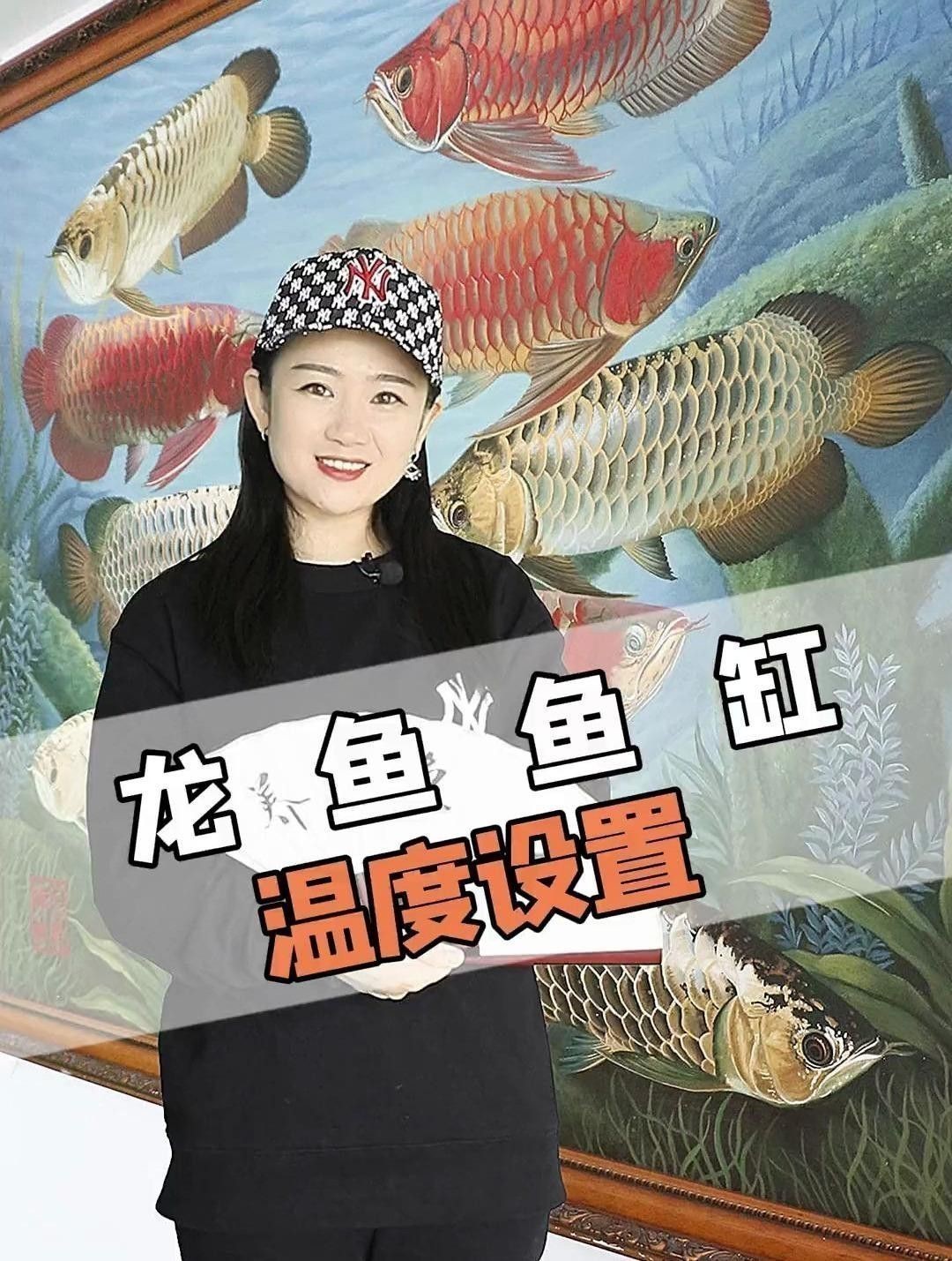 如何設(shè)置龍魚魚缸的最佳溫度？