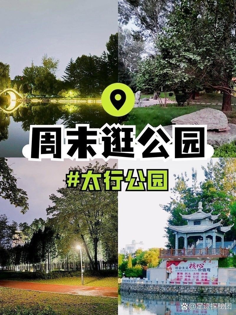 金龍魚(yú)市場(chǎng)價(jià)格趨勢(shì)