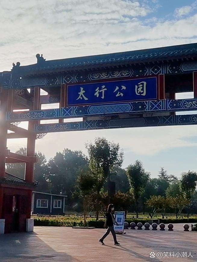 金龍魚(yú)市場(chǎng)價(jià)格趨勢(shì)