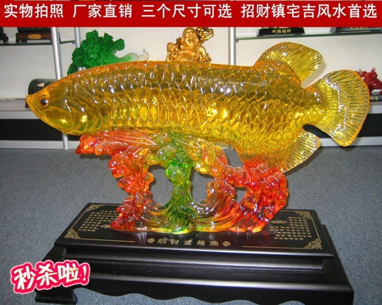 家里養(yǎng)什么龍魚招財(cái)聚財(cái)最好（家里養(yǎng)什么魚能招財(cái)鎮(zhèn)宅）