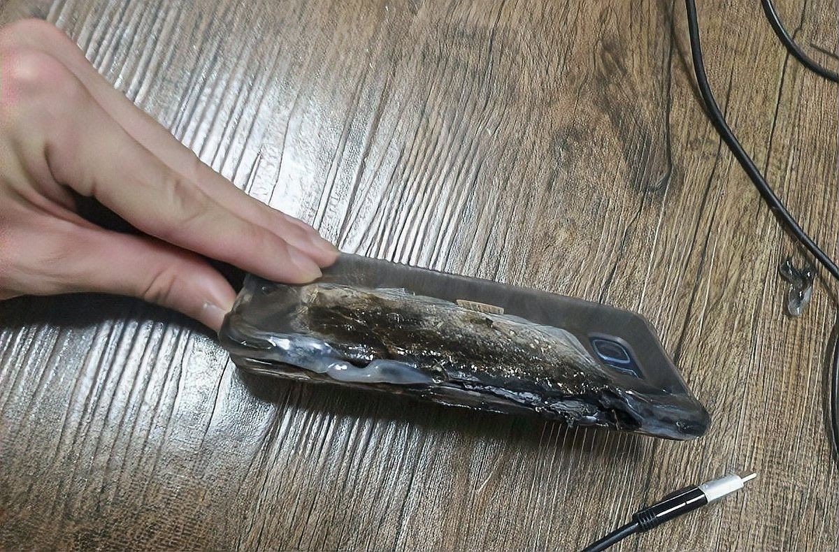銀龍魚成魚圖片大全