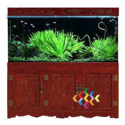 龍魚缸藻類的處理方法（如何處理龍魚缸中的綠藻）