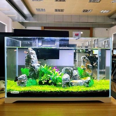老孫龍魚256：“老孫龍魚256”在當代文化中的意義和價值