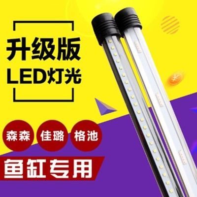龍魚用什么燈管好一點：led燈與金屬鹵素燈選哪個好