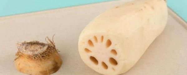 龍魚立鱗鱗片有白色絮狀物是什么：龍魚立鱗鱗片有白色絮狀物是什么是什么