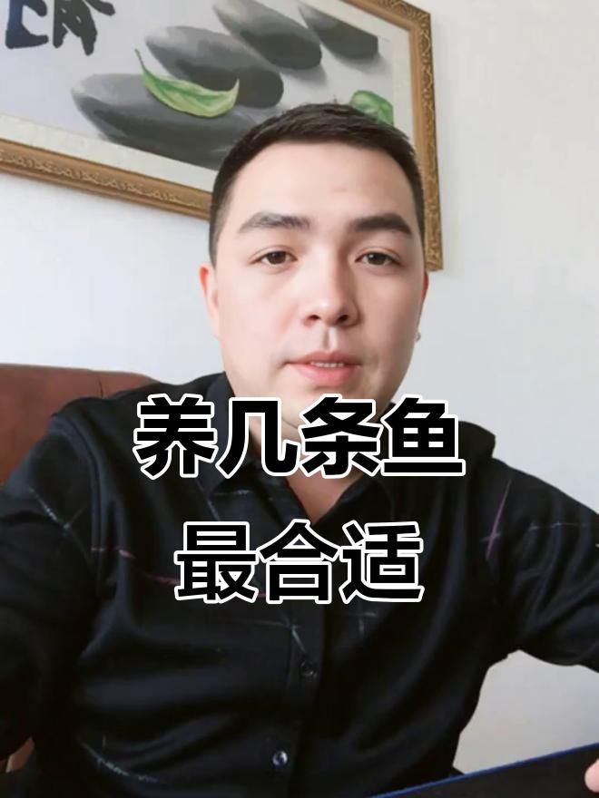 養(yǎng)魚數(shù)量與五行有何關(guān)聯(lián)？