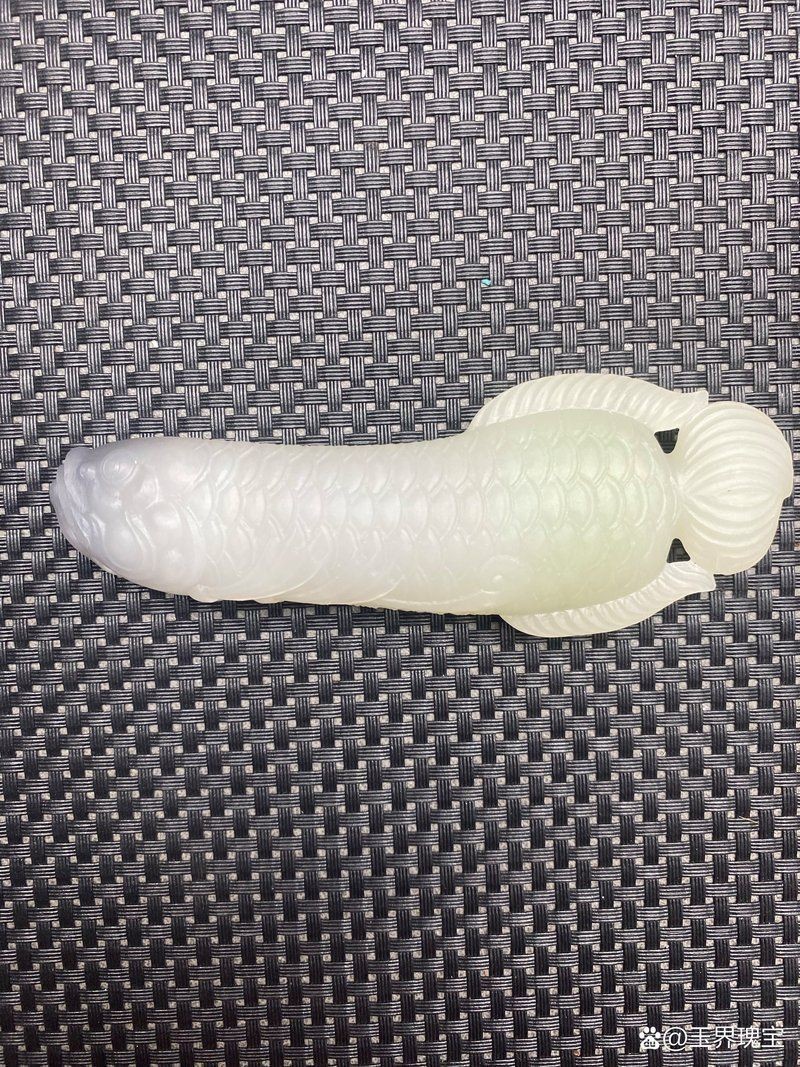 金龍魚白玉