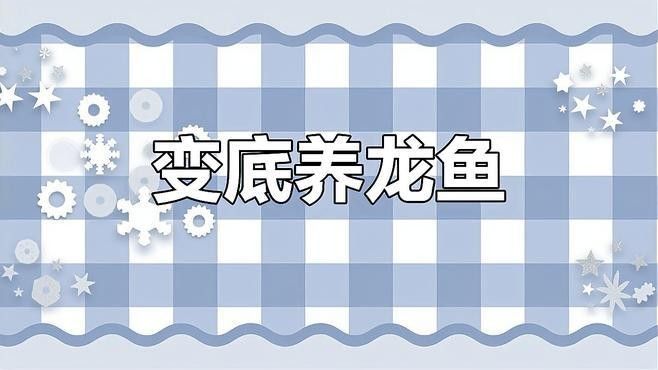 金龍魚配什么背景顏色