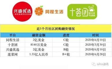 金龍魚融資余額是多少？：金龍魚的融資余額是多少？