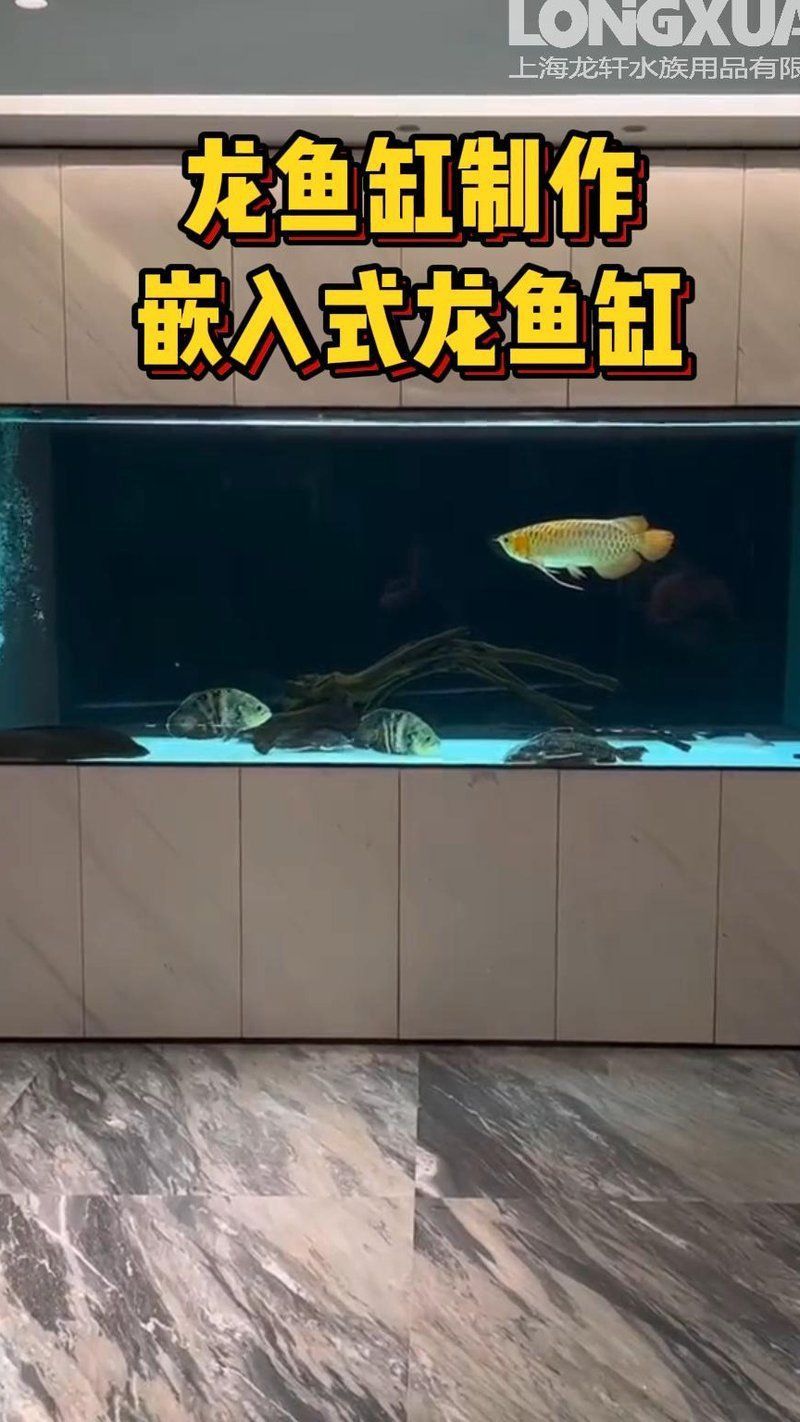 龍魚缸怎么布置