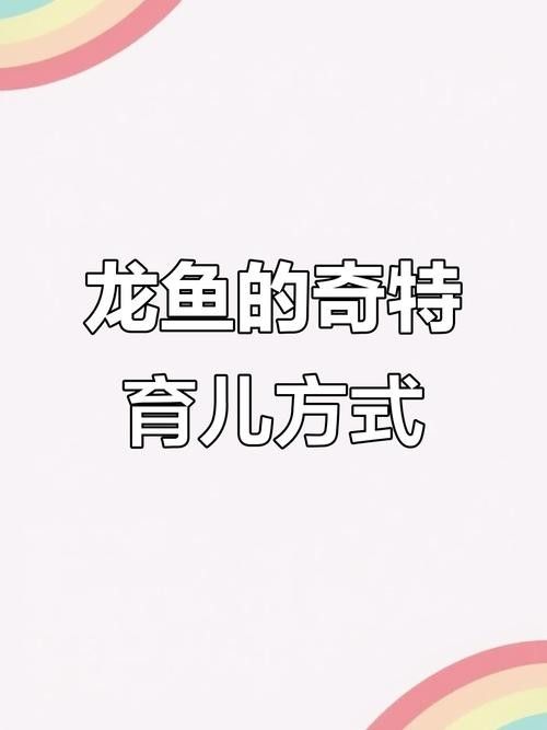 龍魚的卵是什么樣子的圖片