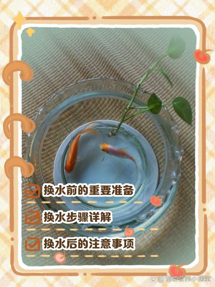 金龍魚換水的正確方法