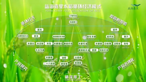紅龍魚眼睛里有白色物體是什么病圖片和視頻介紹（紅龍魚眼睛有白膜怎么辦）