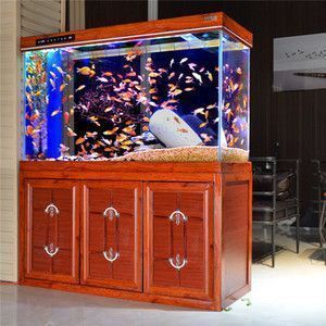 龍魚怎么配魚寓意好（如何通過龍魚的搭配來增強其吉祥寓意）