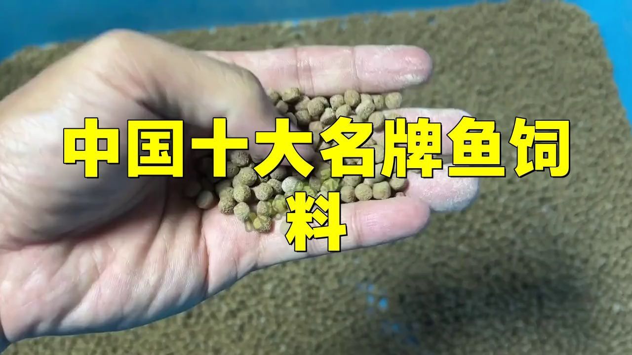 金魚魚糧十大品牌