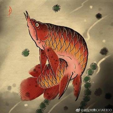 能推薦一些紅龍紋身手稿嗎？