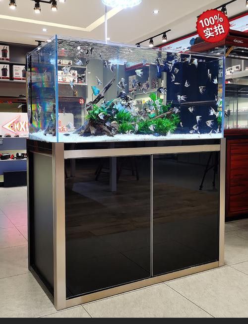 西龍龍魚缸