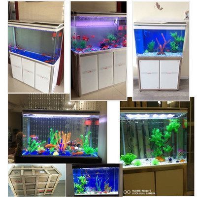 龍魚缸需要什么設備好：養龍魚需要一套完整的設備來確保水質、氧氣供應等方面的適宜