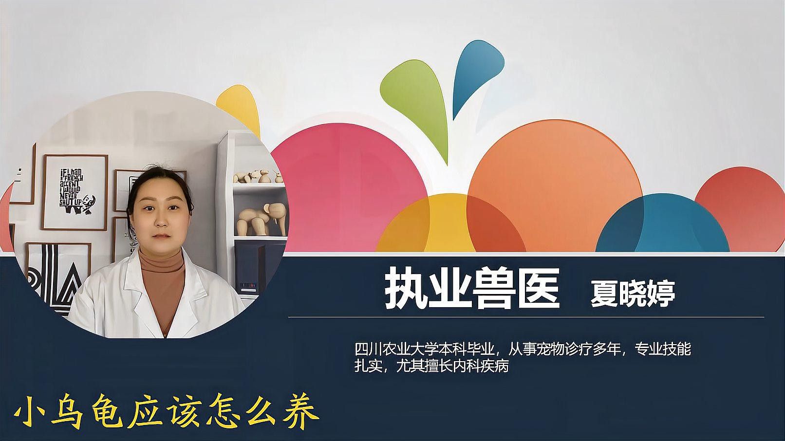 如何清潔和保養龍龜？