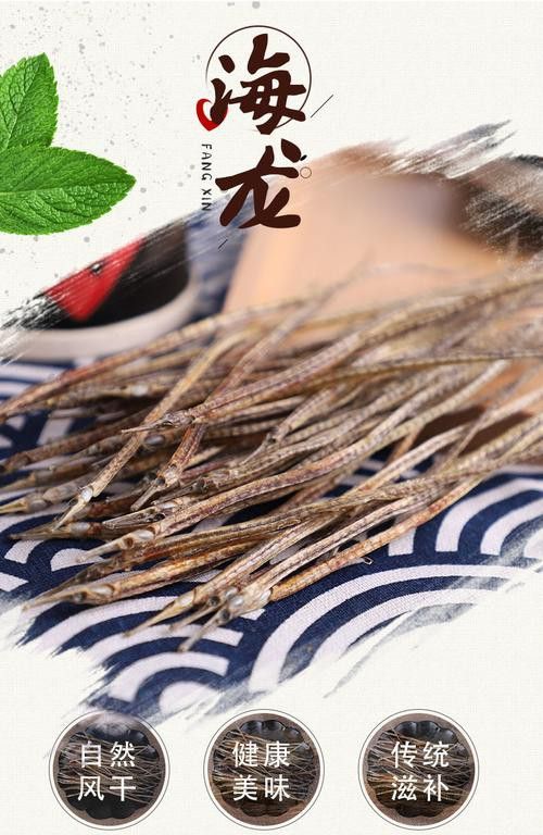 小海龍魚圖片