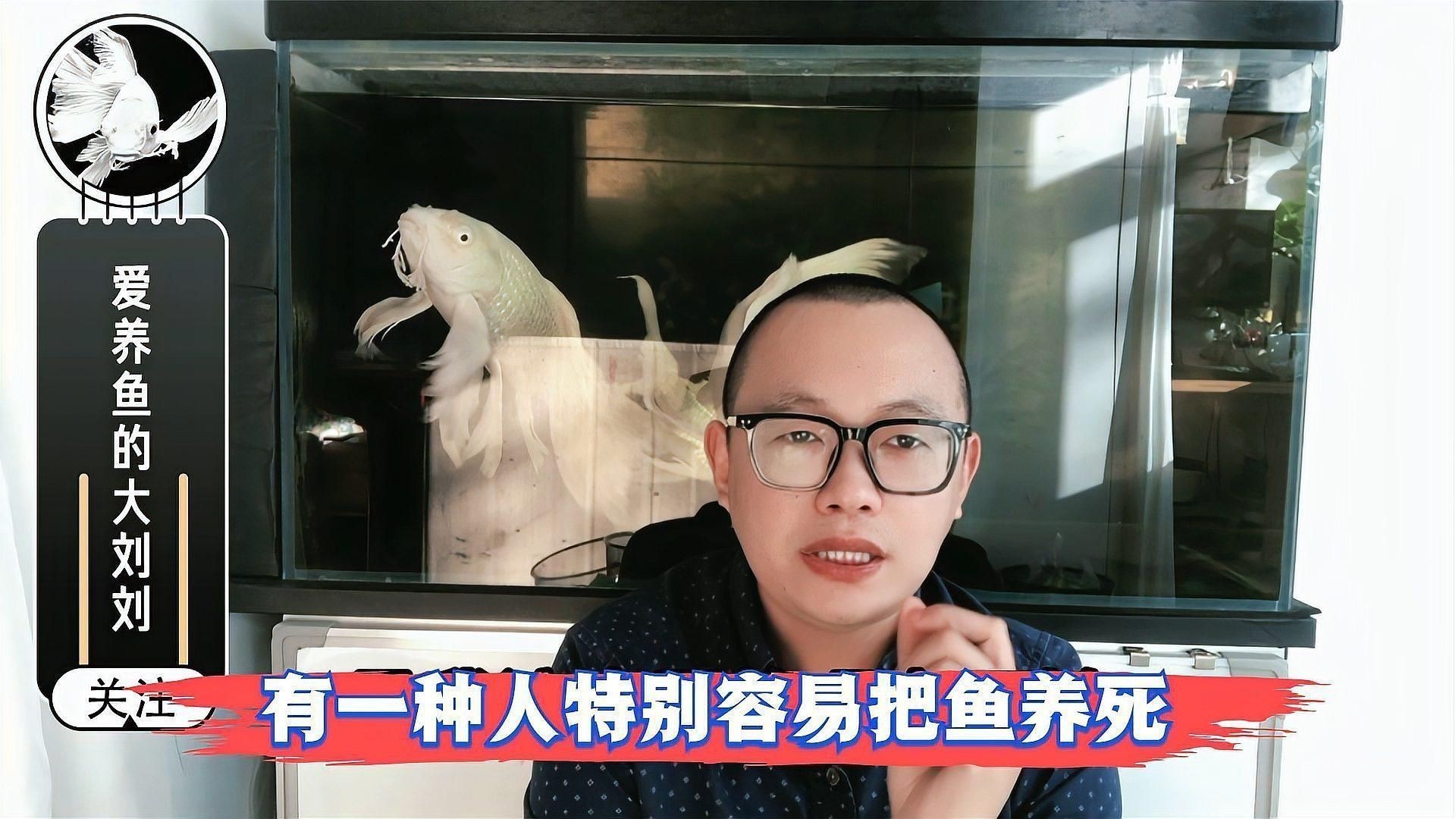 如何判斷一種魚是否好養？
