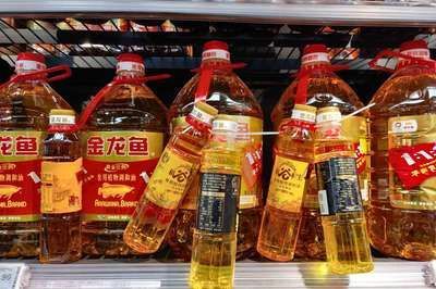 金龍魚最新產品是什么（\"金龍魚鮮味王\"）