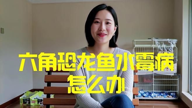 六角龍魚有哪些常見疾病