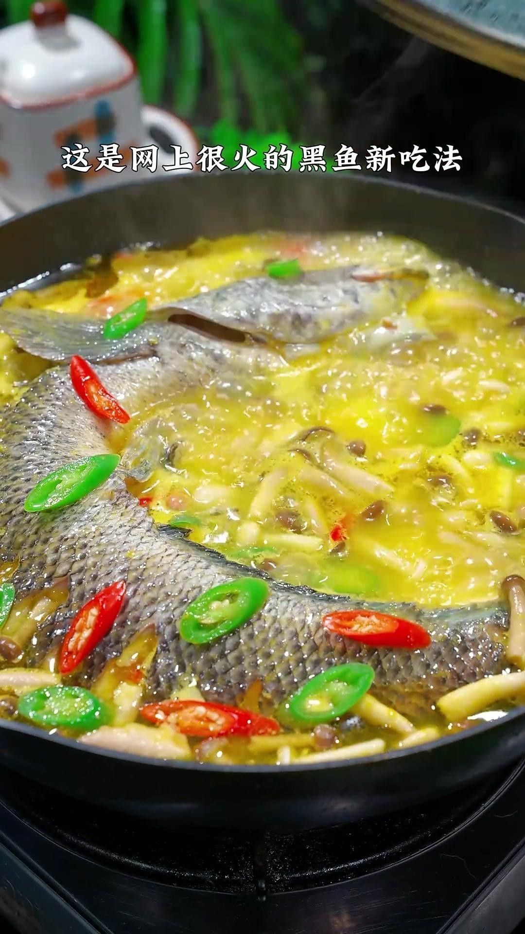 如何區分黑魚和鱸魚？