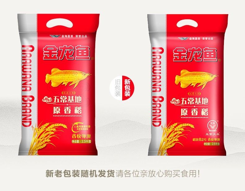 紅龍魚背景什么顏色好看呢視頻教學（紅龍魚背景什么顏色好看呢視頻教學下載）