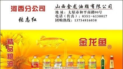 金龍魚名片設計圖：金龍魚名片設計圖、金龍魚名片設計圖的相關信息介紹