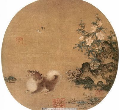 古典金龍魚用什么背景畫（養(yǎng)金龍用什么背景好）