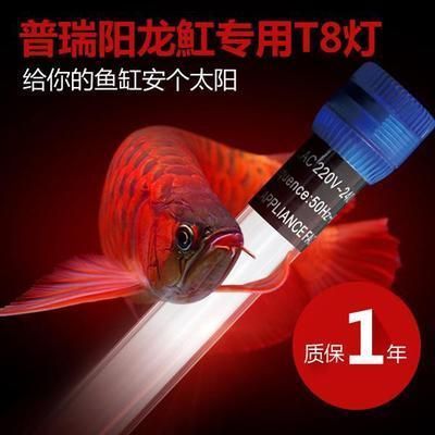 龍魚的顏色：龍魚的顏色對市場價格的影響