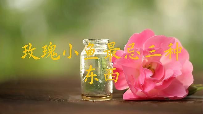玫瑰魚(yú)仔