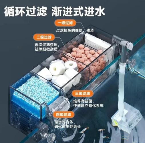 推薦幾款適合混養龍魚的過濾器