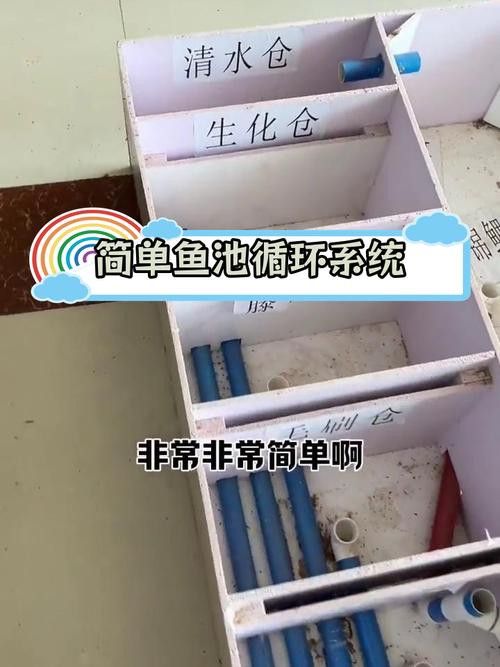 推薦幾款適合混養龍魚的過濾器