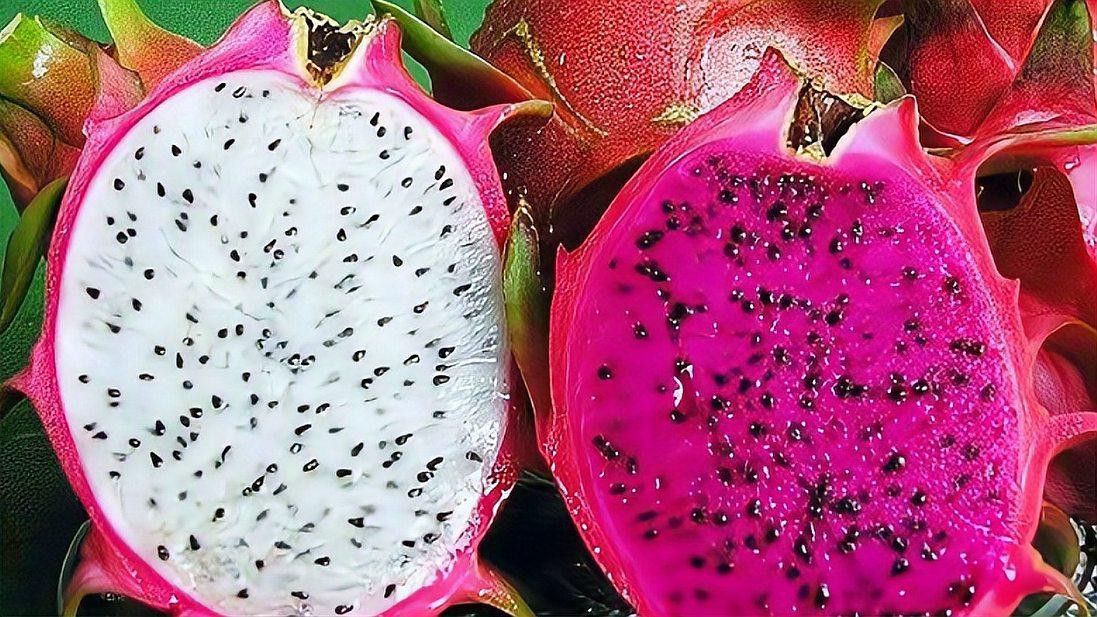 紅龍果和澳龍哪個更美容養顏？