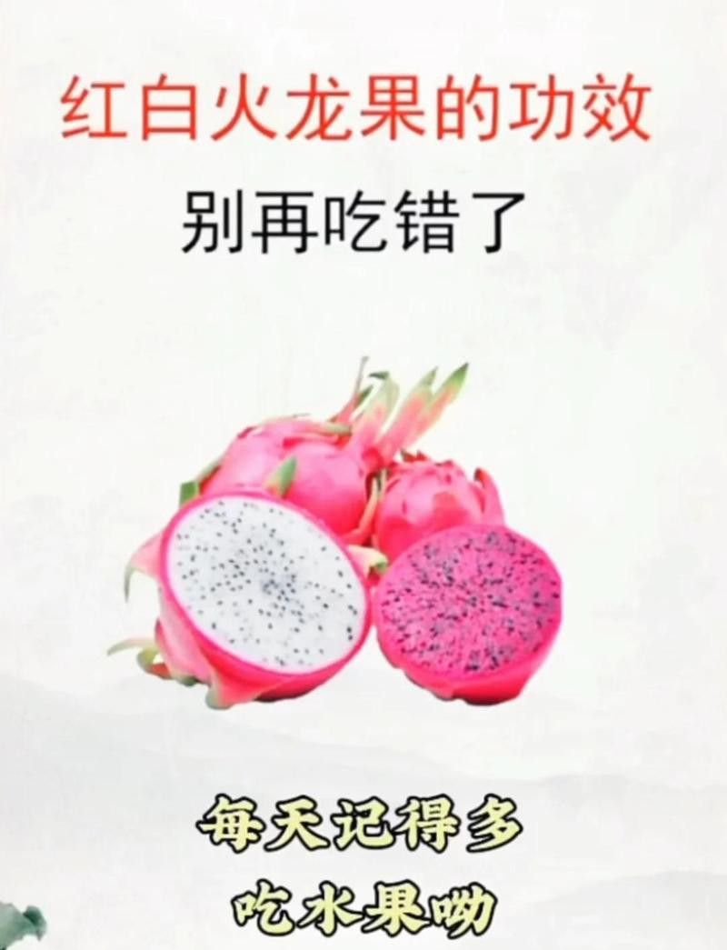 紅龍果和澳龍哪個更美容養顏？