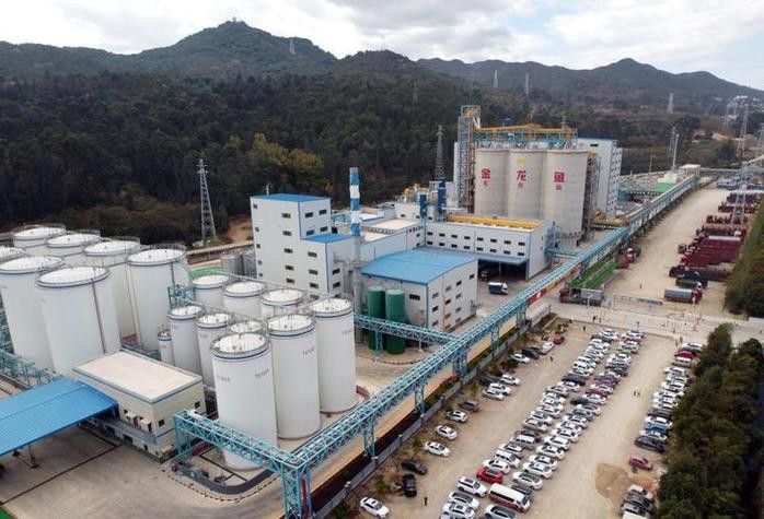 福建金龍魚公司簡介圖片