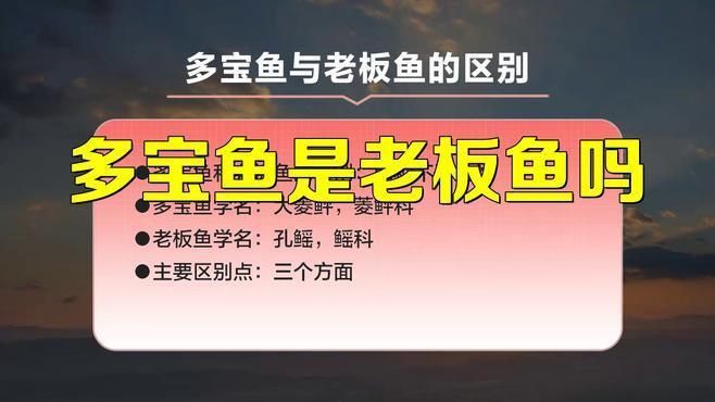老板魚是什么魚
