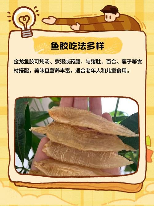金龍魚能吃不