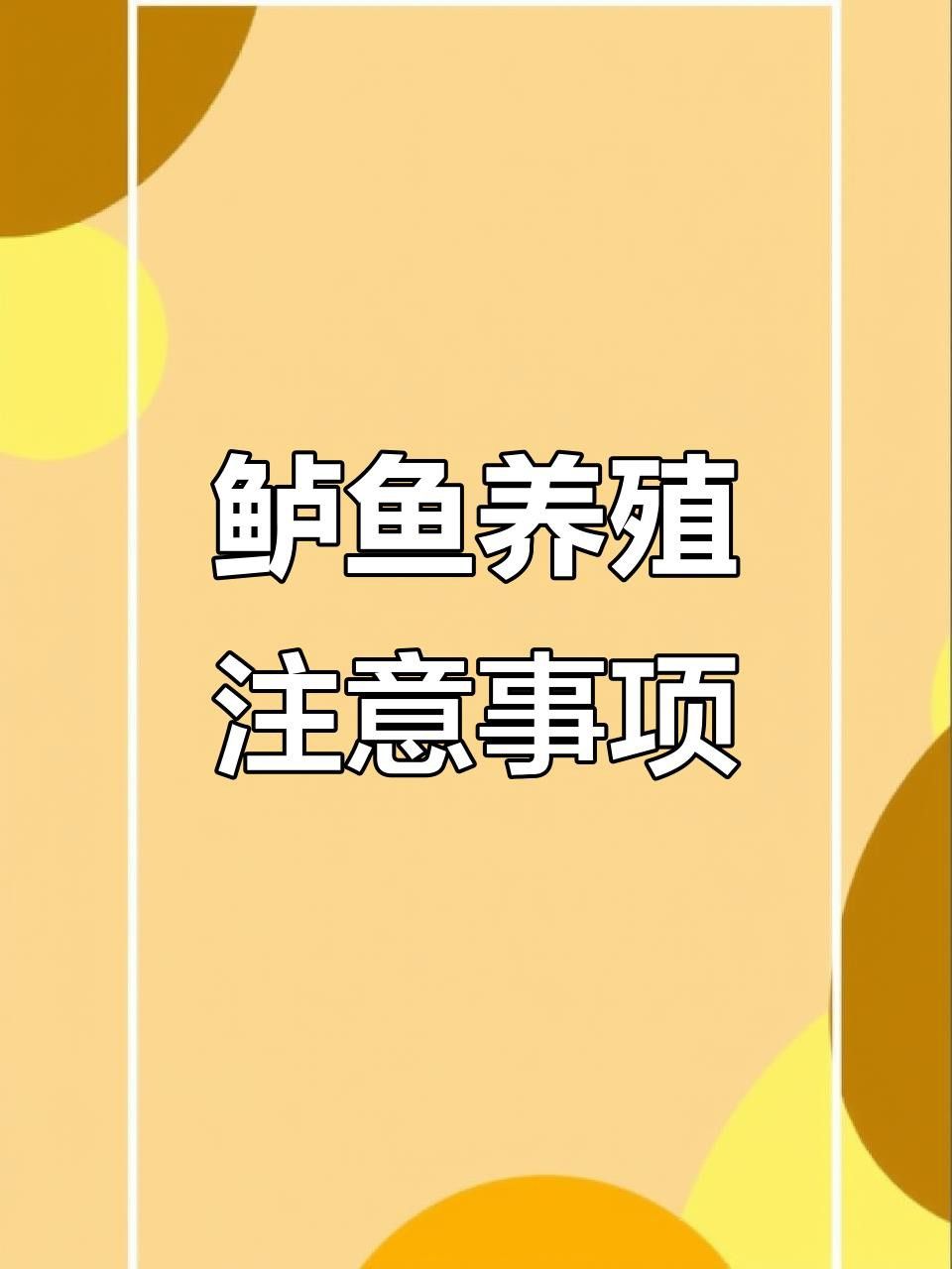 如何預防龍魚應激？