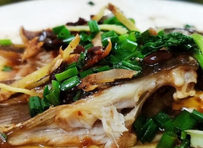 葵龍魚是什么魚圖片