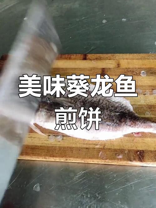 葵龍魚是什么魚圖片