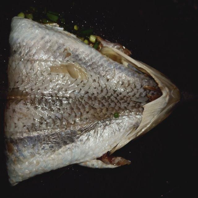 葵龍魚是什么魚圖片