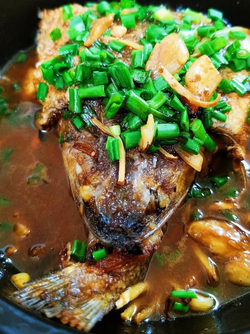 葵龍魚是什么魚圖片
