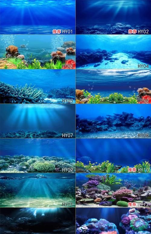 能推薦一些3D風格的紅龍魚壁紙嗎？