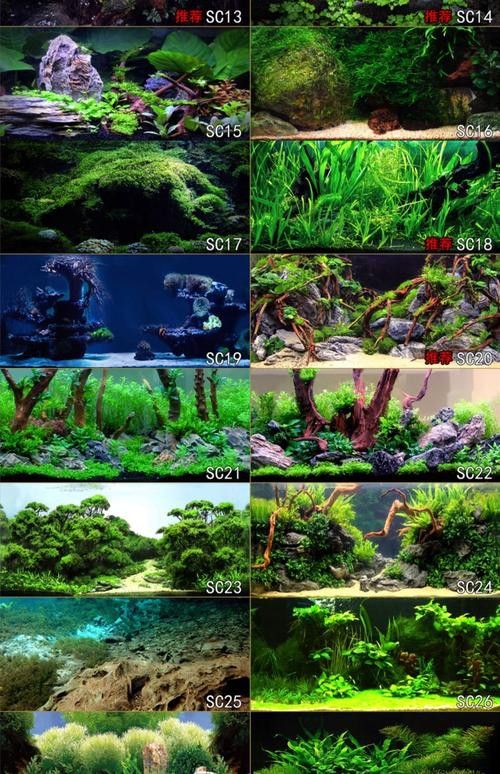 能推薦一些3D風格的紅龍魚壁紙嗎？